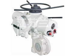 IFM/MOW角行程调节型智能型